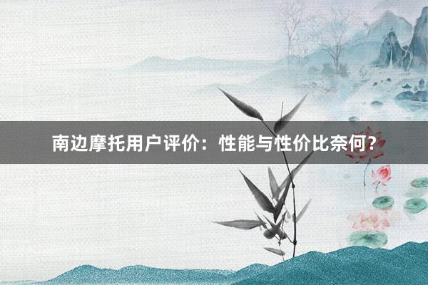 南边摩托用户评价：性能与性价比奈何？